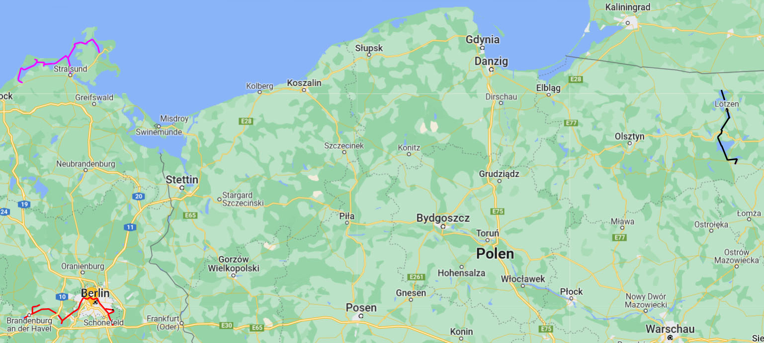 young_eagle_mit_Linien